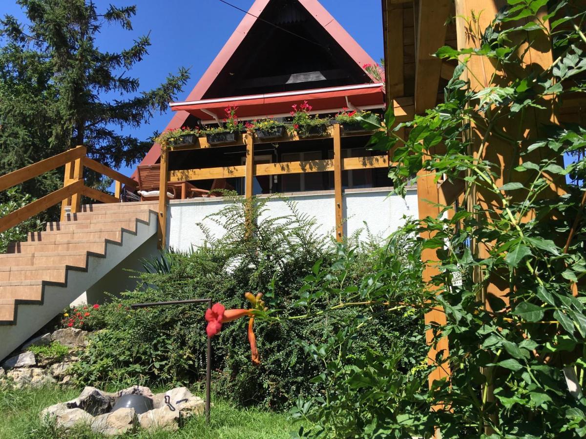 Wooden Apartman Prémium Jacuzzival Alsóörs Exterior foto
